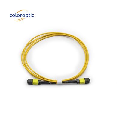 MTP APC 여성에서 여성 광 케이블 10/40G SM 3M PVC / LSZH 트렁크 케이블