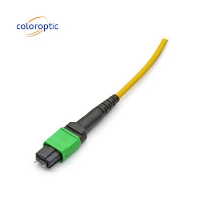 MTP APC 여성에서 여성 광 케이블 10/40G SM 3M PVC / LSZH 트렁크 케이블