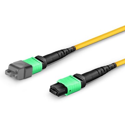 수동 광학 MTP 패치 케이블 단일 모드 케이블 1M - 50M 길이