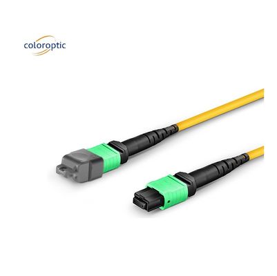 단일 모드 MPO 광 케이블 OM3 섬유 등급 PVC 자켓