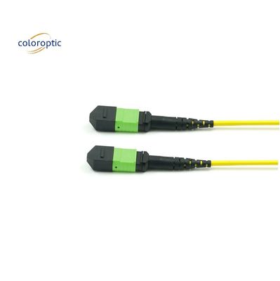 패시브 광학 단일 모드 패치 코드 MPO-12 / APC-to-MPO12 / APC