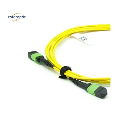 단일 모드 MPO 광 케이블 OM3 섬유 등급 PVC 자켓