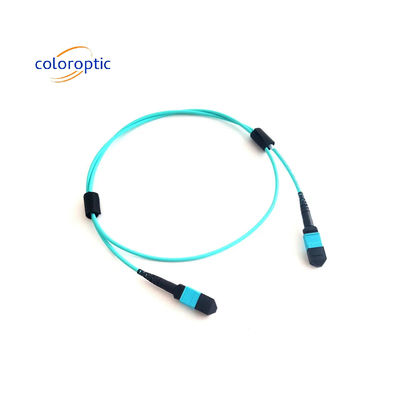 MTP (MPO) 12 FIBRE PATCH CABLE OM3 (50/125) M400 시리즈 US Conec