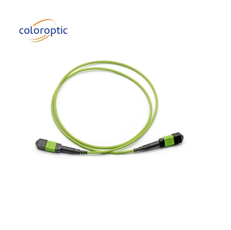 단일 모드 MTP 패치 코드 MTP 커넥터 G652D / G657A1 / G657A2 섬유
