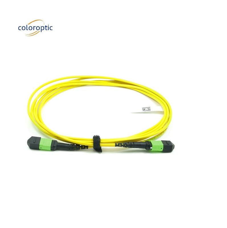 패시브 광학 단일 모드 패치 코드 MPO-12 / APC-to-MPO12 / APC
