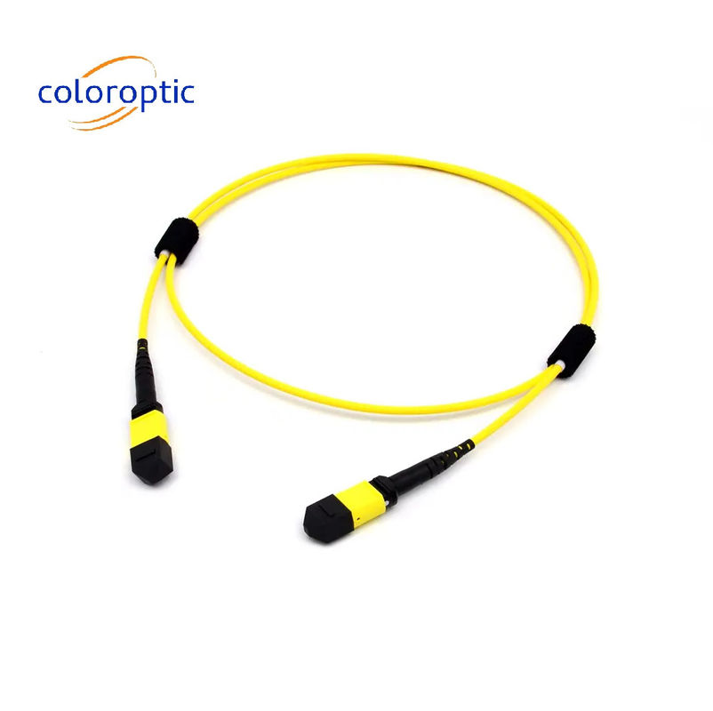 멀티 모드 섬유 MTP MPO 16 FIBRE OM5 (50/125) PATCH CABLE SR8 400G QSFP-DD 및 OSFP 400G SR8 PAM4